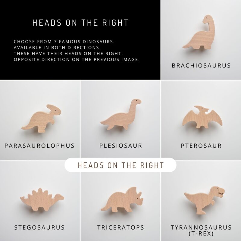 Dinosaur Drawer Handle - Image 4