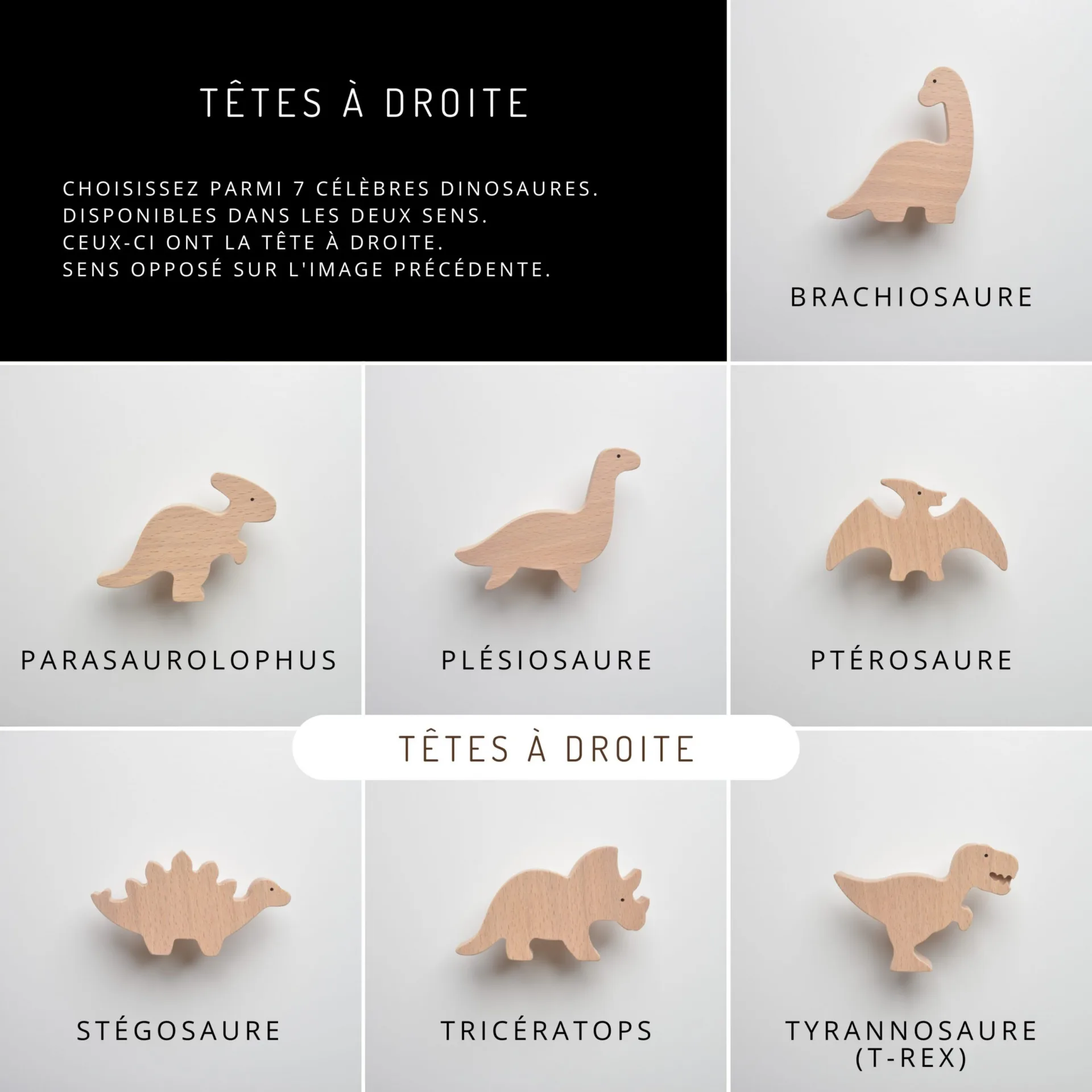 Boutons de meuble dinosaures, en bois, pour chambre d'enfant - Liste des modèles - FAB-FABRIK